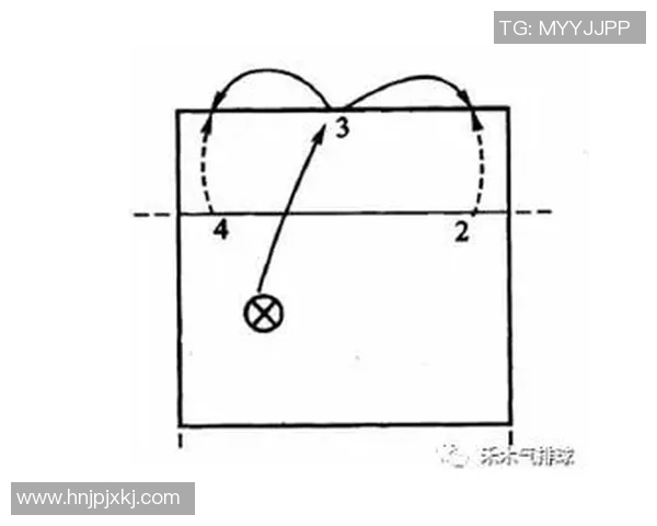 武汉排球队速度对比深度解析与战术分析